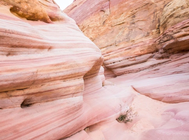 Nevada red rock formations