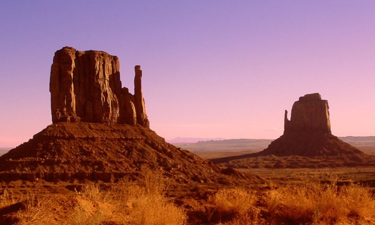 desert survival tips