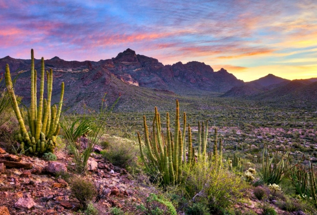 Tonto National Forest Tonto National Forest