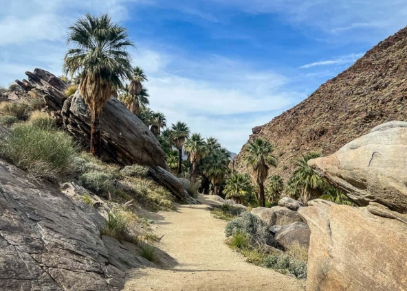 Indian Canyons hiking