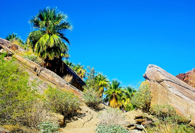Indian Canyons hiking