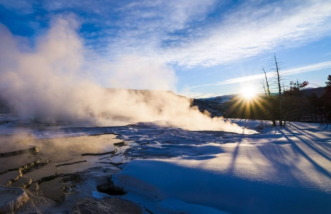 Canary Spring Yellowstone Canary Spring Yellowstone