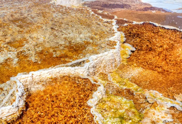 Canary Spring hike Canary Spring hike