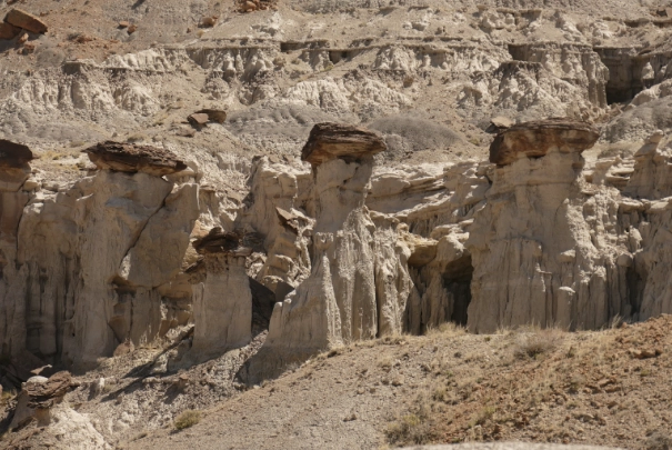 San Juan Basin energy