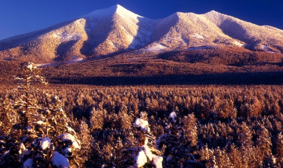 hiking Humphreys Peak