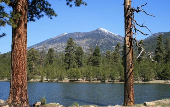 San Francisco Peaks Arizona