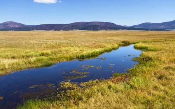 Valles Caldera National Preserve