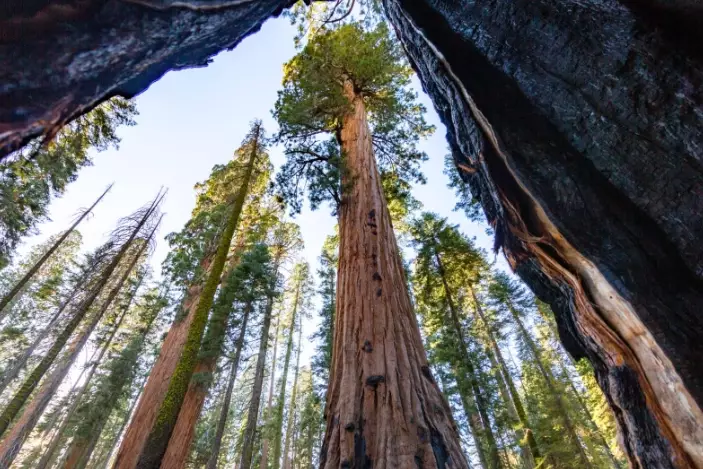Sequoia National Park itinerary Sequoia National Park itinerary