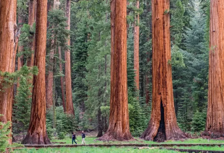 Kings Canyon and Sequoia Kings Canyon and Sequoia