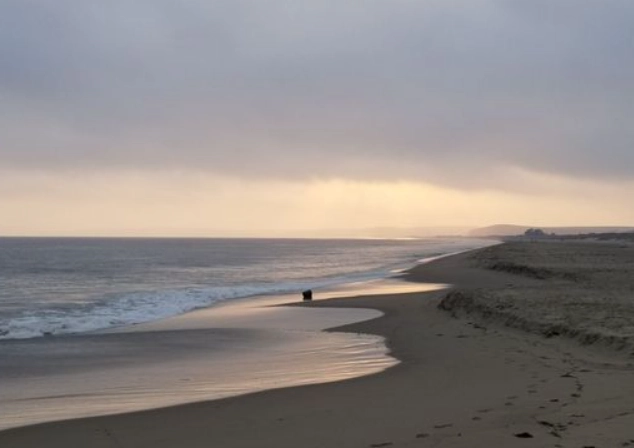 hiking sculptured beach