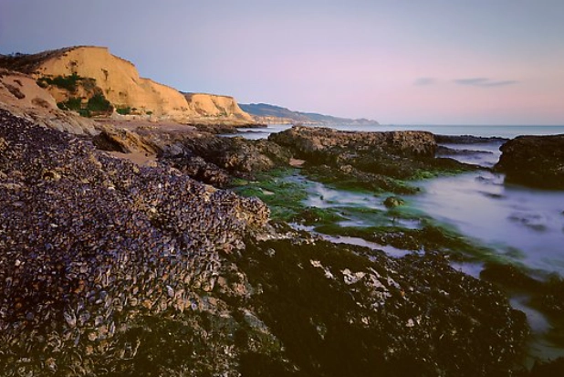 point reyes sculptured beach