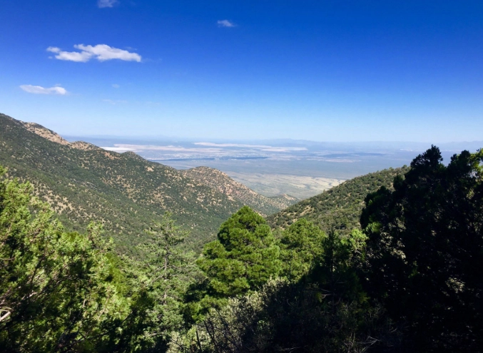 madera canyon birding