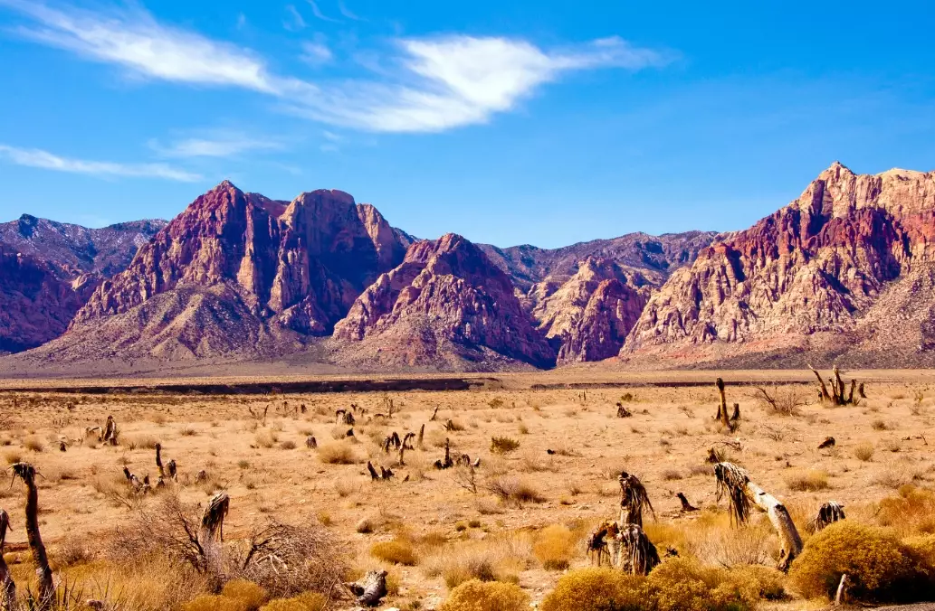 desert national parks