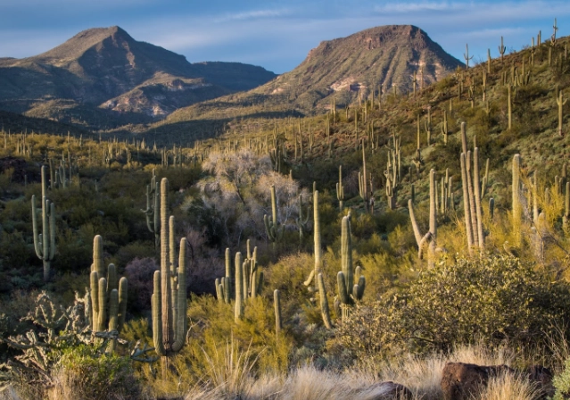 jewel of the creek preserve