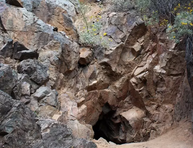 Jewel of the Creek Preserve hiking trails