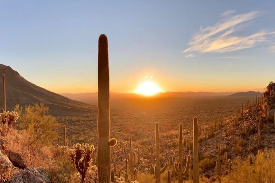 saguaro national park west