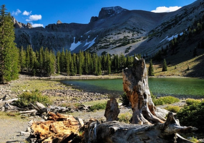 grand basin national park
