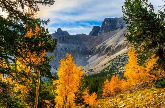 Wheeler Peak summit hike