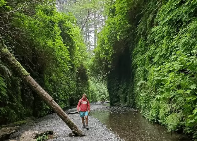 fern canyon