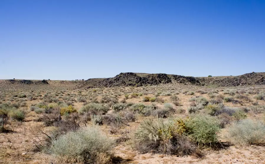 petroglyph national monument