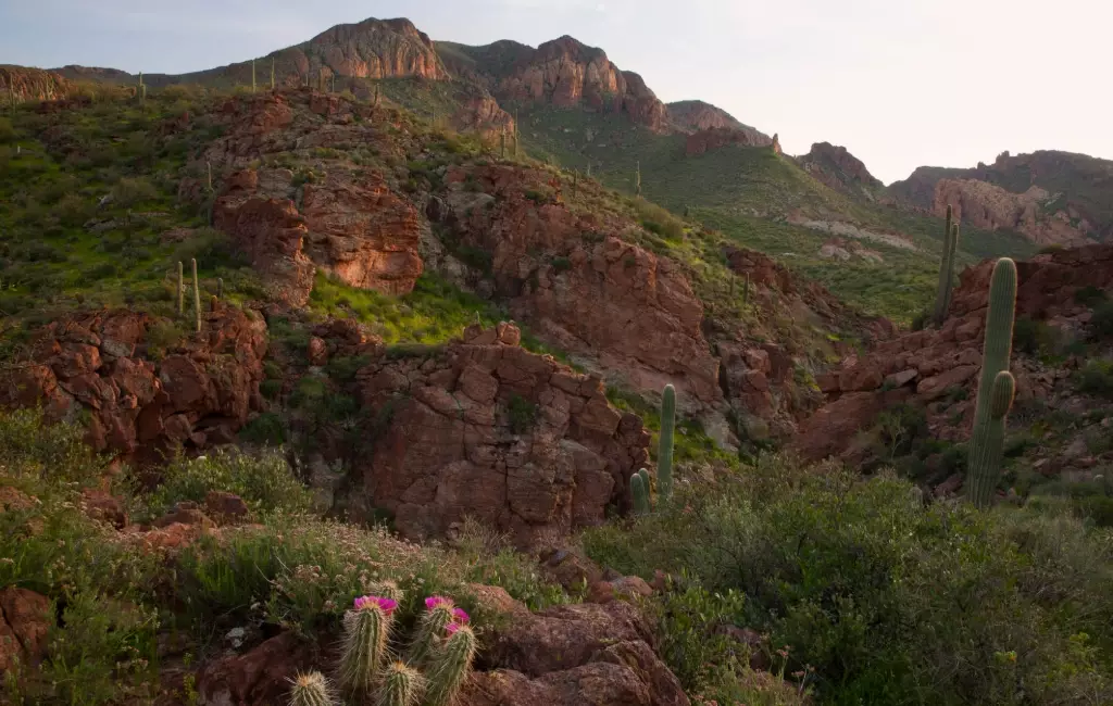 Tonto National Forest hiking