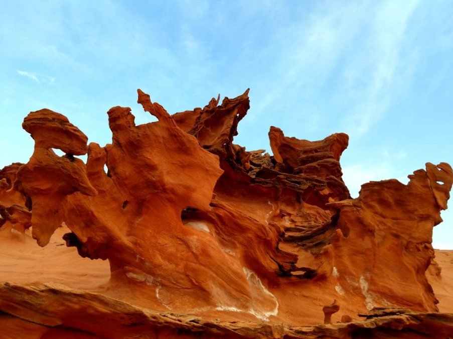 finland forest nevada finland forest nevada