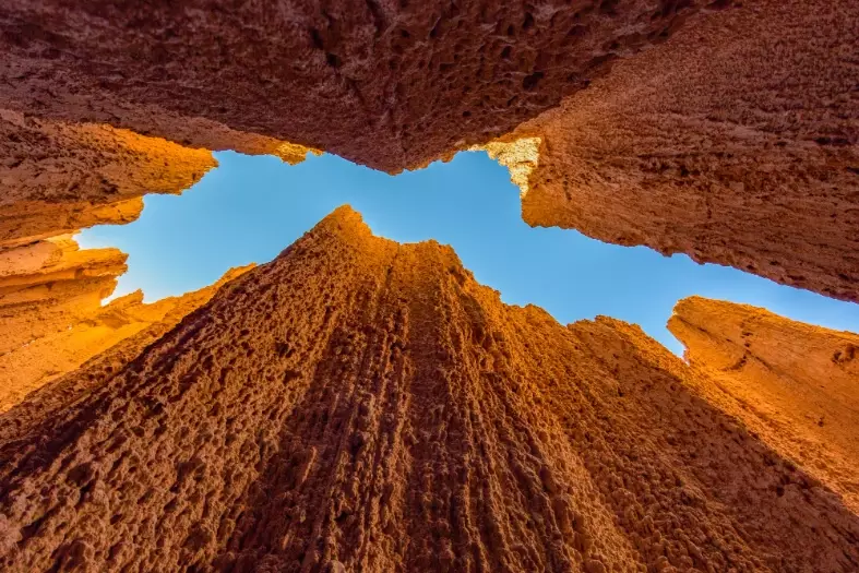 Texas Hill Country wineries