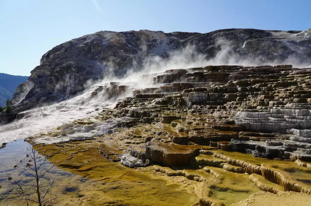 mammoth hot springs