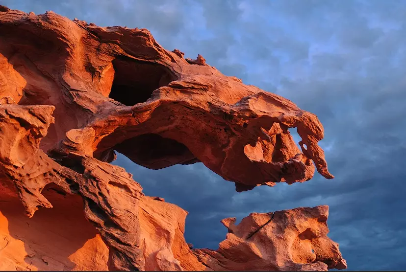 finland forest nevada finland forest nevada