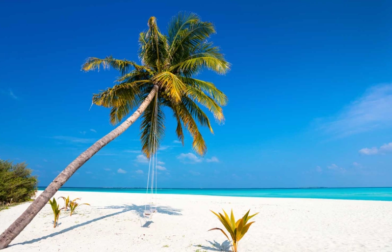 top beaches in the world