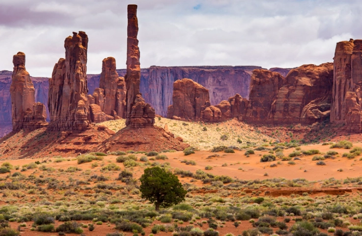 best US desert parks
