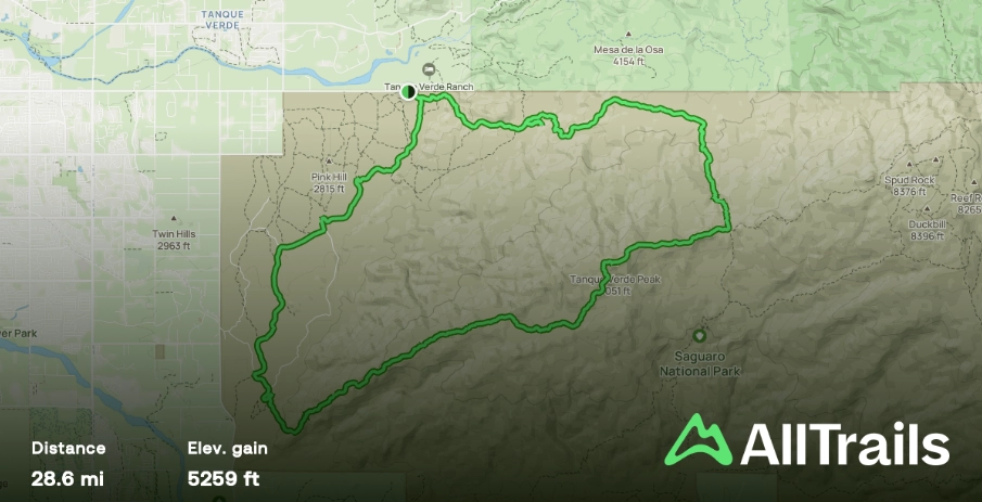 Saguaro National Park hiking