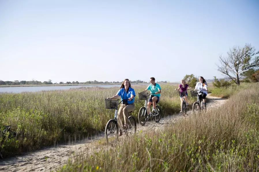 best coastal wildlife tours