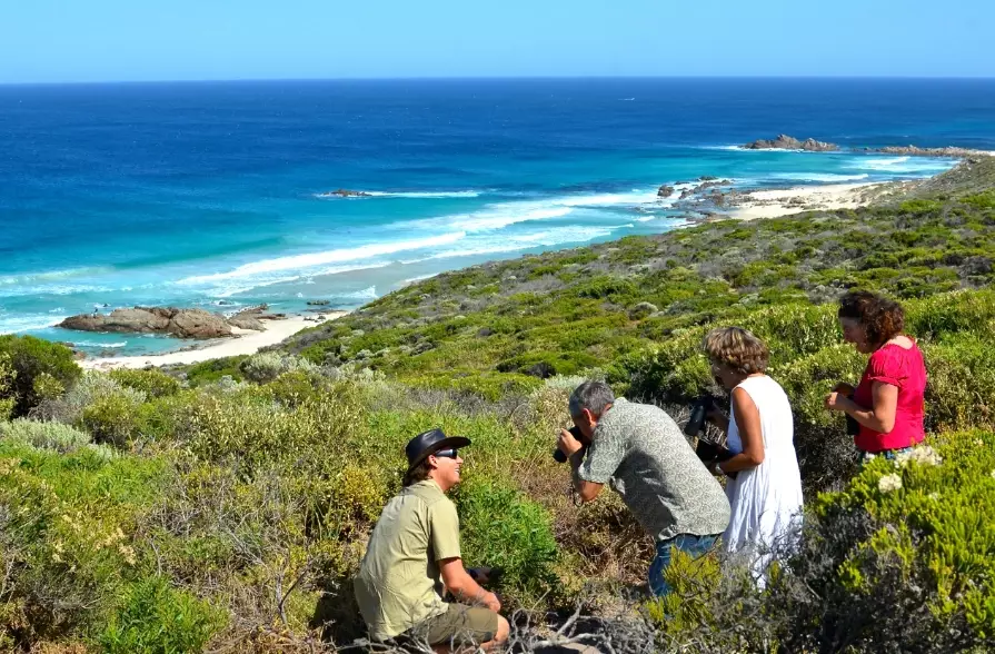 family coastal wildlife tours