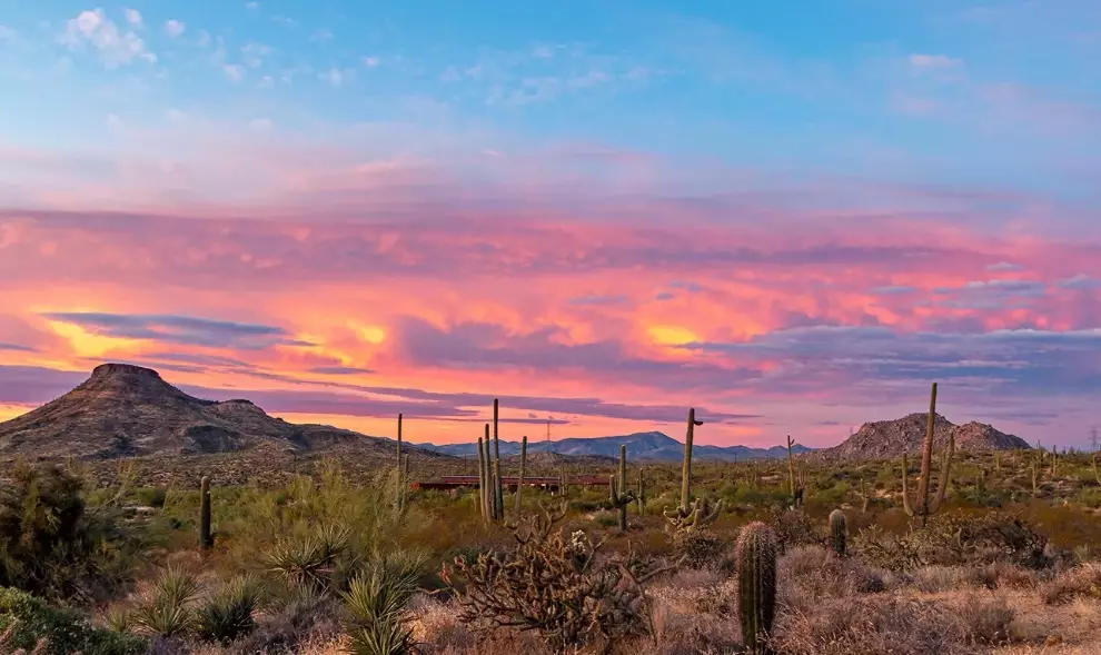 Desert southwest states