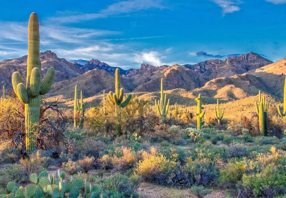 southwest desert travel