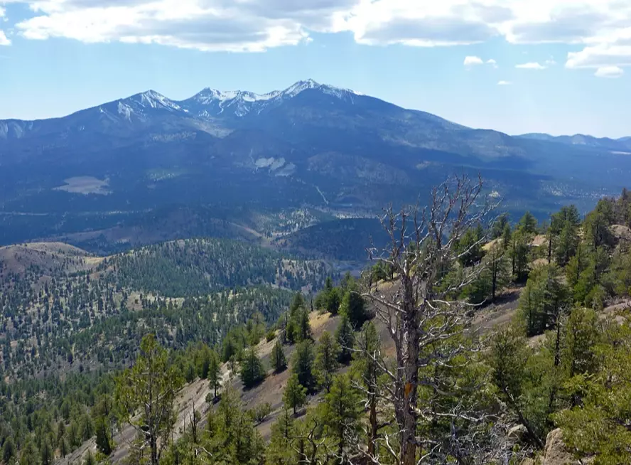 Humphreys Peak trail