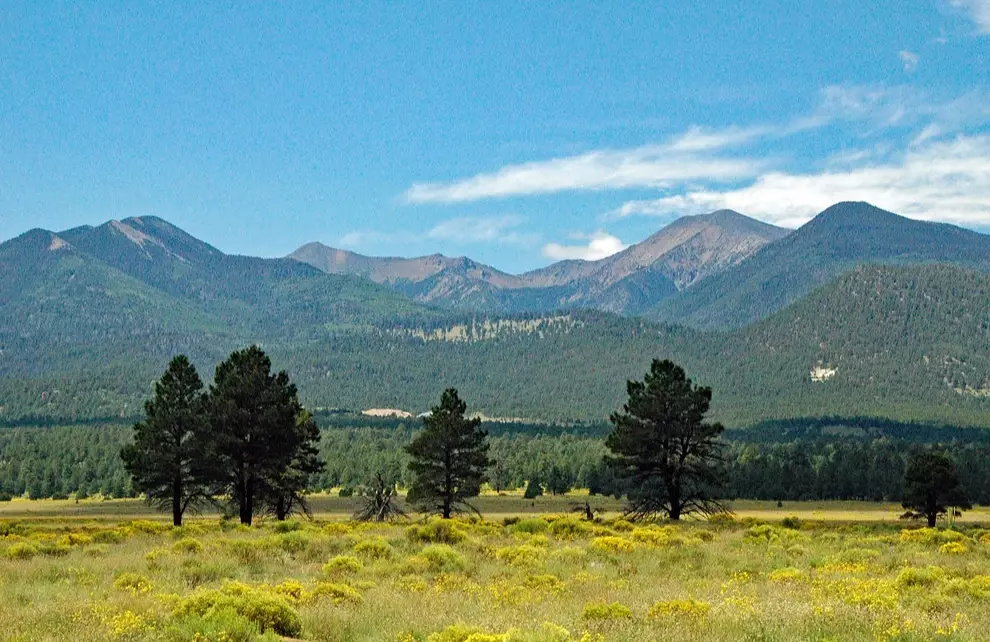 Humphreys Peak trail