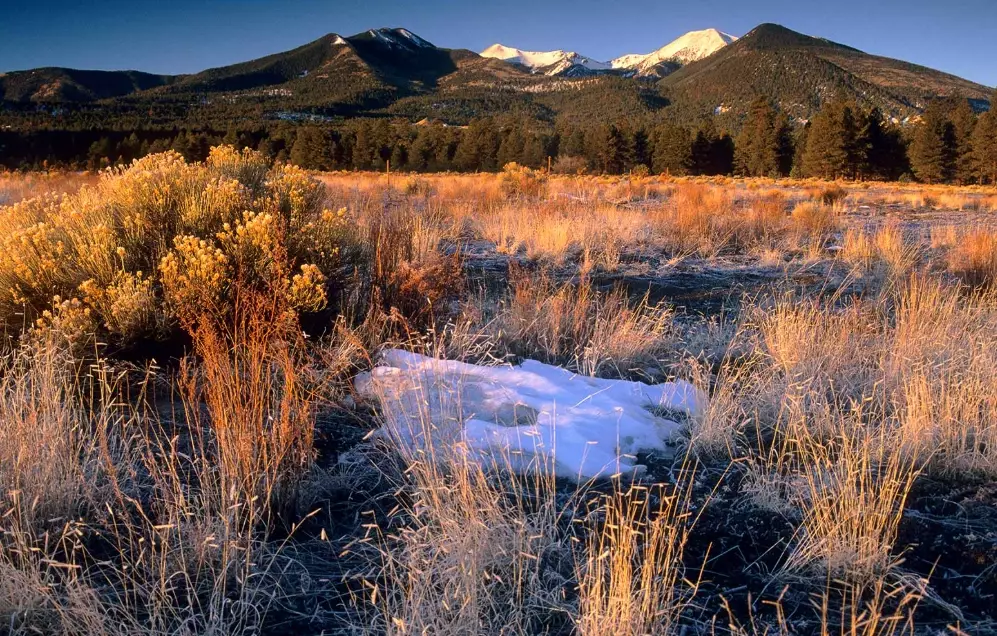 San Francisco Peaks volcano
