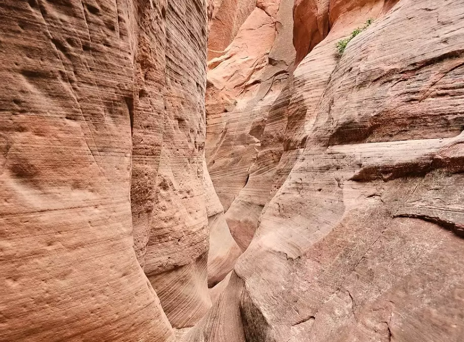 Red Hollow slot canyon photography