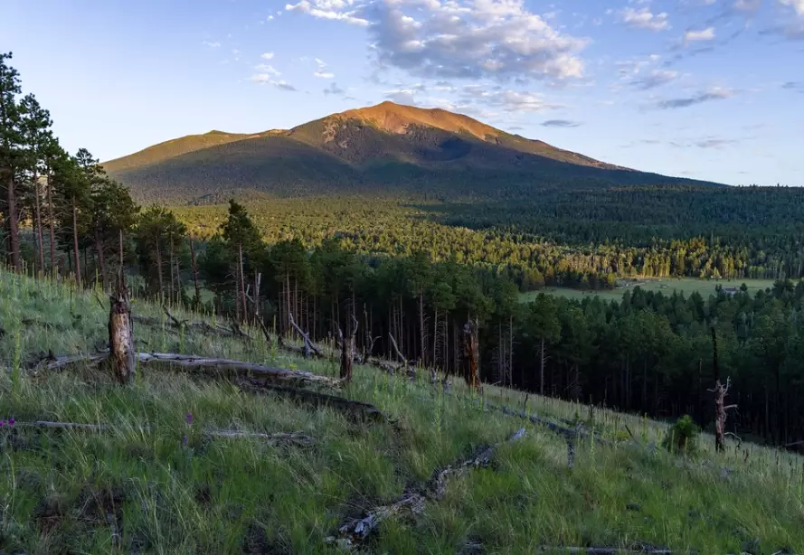 Humphreys Peak trail