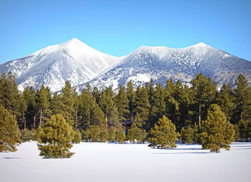Humphreys Peak trail