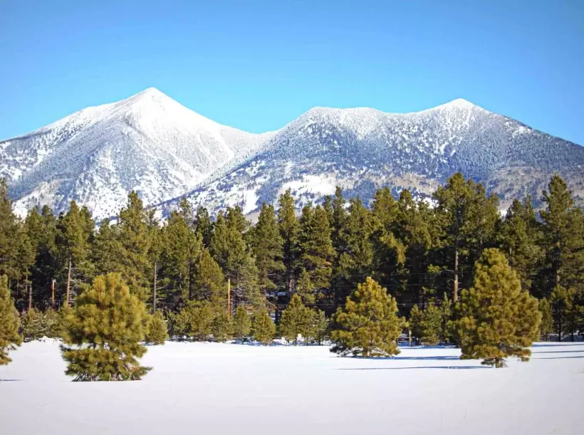 things to do in Flagstaff